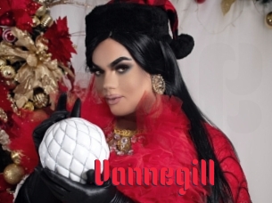 vannegill Video Extrait