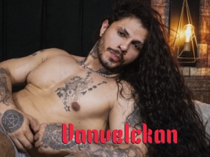 vanvelckan Video Extrait