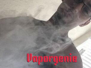 vapor_genie Video Extrait