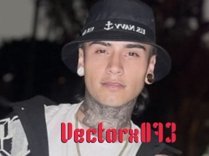 Vectorx073