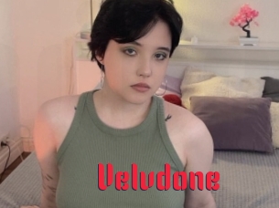 Velvdone