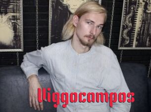 Viggocampos
