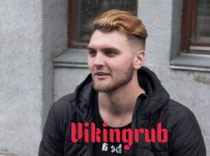 Vikingrub