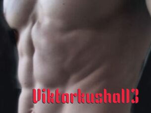 Viktarkushal13