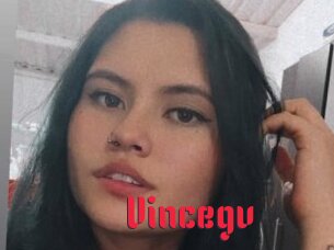 Vincegv