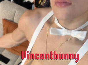 Vincentbunny