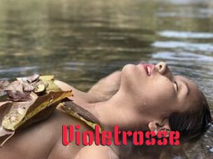 Violetrosse