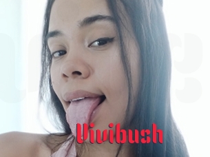Vivibush