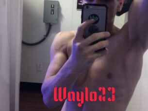 Waylo23