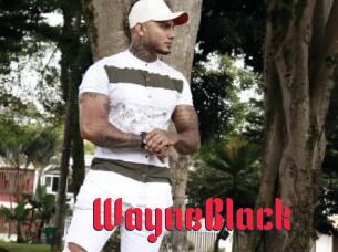 WayneBlack