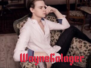 WayneGalager