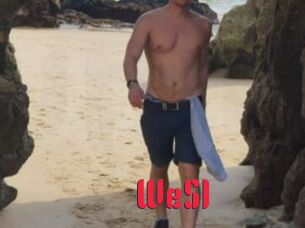 WeS1