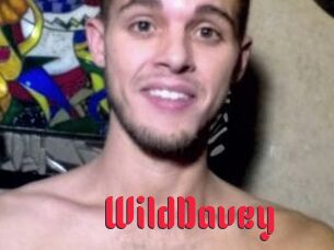 WildDavey