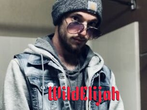 WildElijah