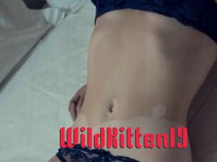 Wild_Kitten19