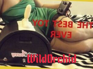 WildOrchid_