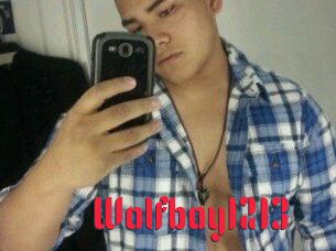 Wolfboy1213
