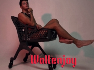 Waltenjoy