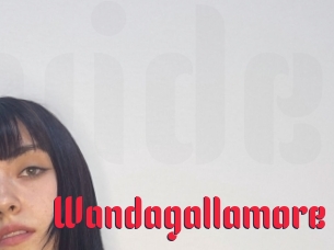 Wandagallamore