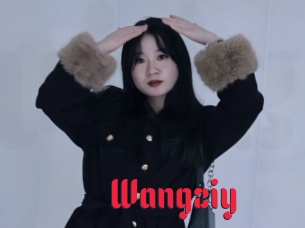 Wangziy