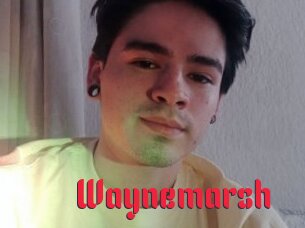 Waynemarsh