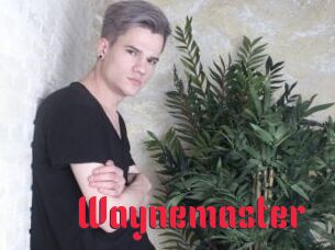 Waynemaster