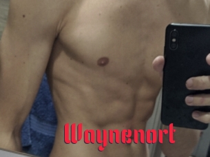 Waynenort