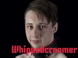 Whippedcreamer