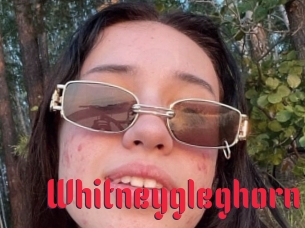 Whitneygleghorn