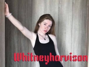 Whitneyharvison