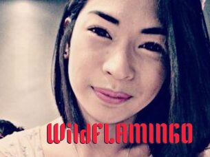 WildFLAMINGO