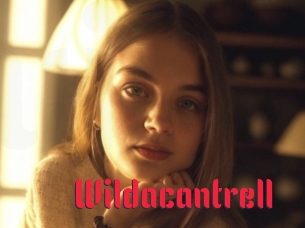 Wildacantrell