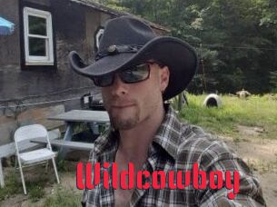 Wildcowboy
