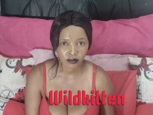 Wildkitten