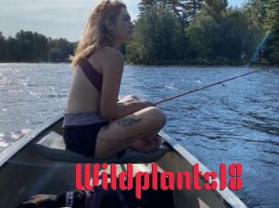 Wildplants18
