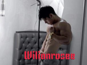 Wilianrosee