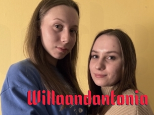 Willaandantonia
