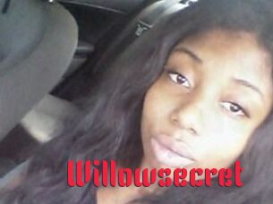 Willow_secret