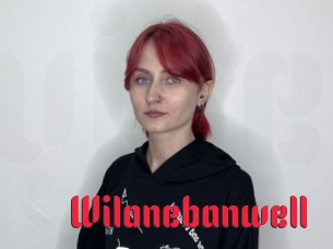 Wilonebanwell
