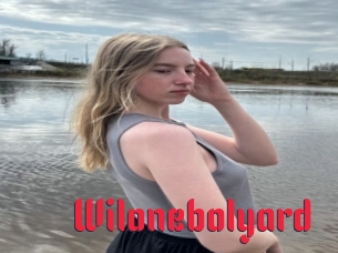 Wilonebolyard