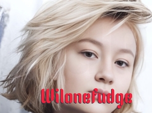 Wilonefudge