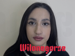 Wilonegorse