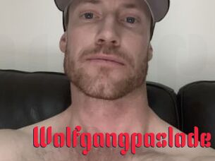 Wolfgangpaslode
