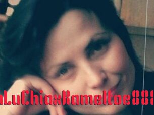 XSantaLuChiaxKameltoe888