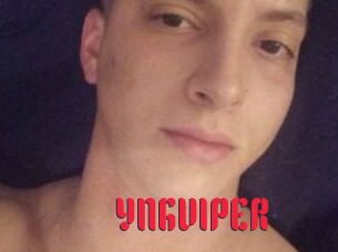 YNGVIPER