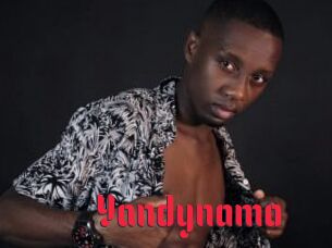 Yandynamo