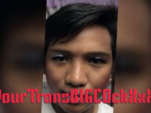 YourTransBIGCOckXxX