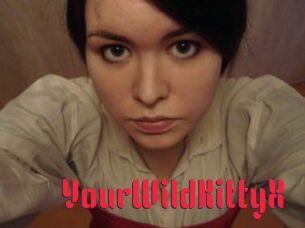 YourWildKittyX