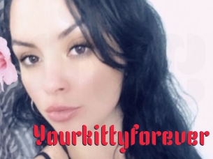 Yourkittyforever