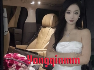 Yangqinmm